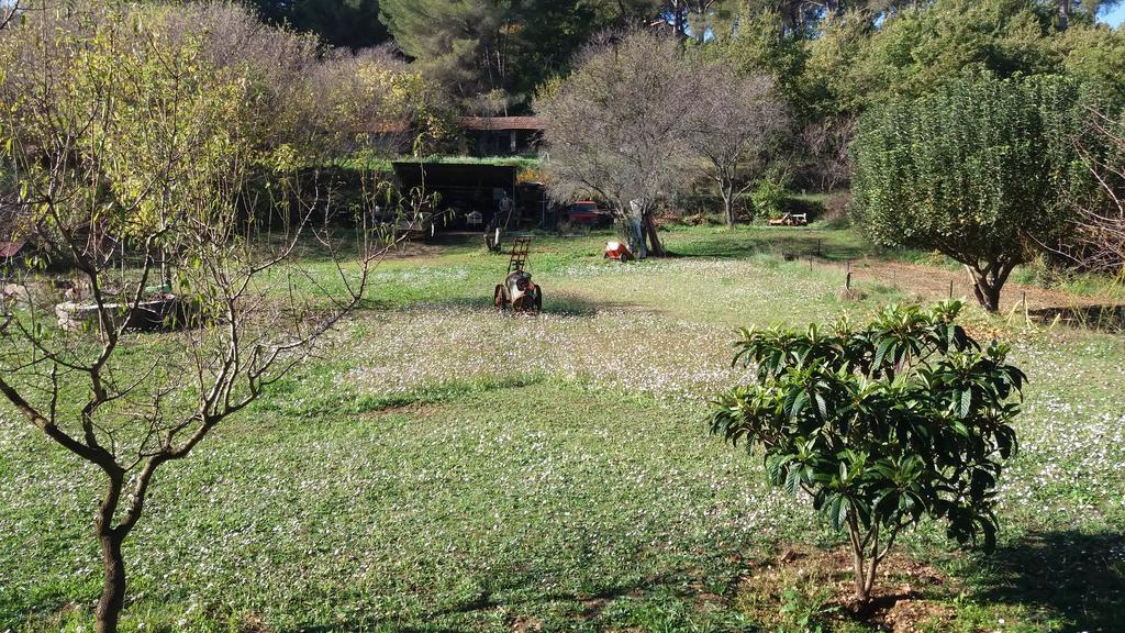 Le Mas Du Pin Vert Aubagne Buitenkant foto